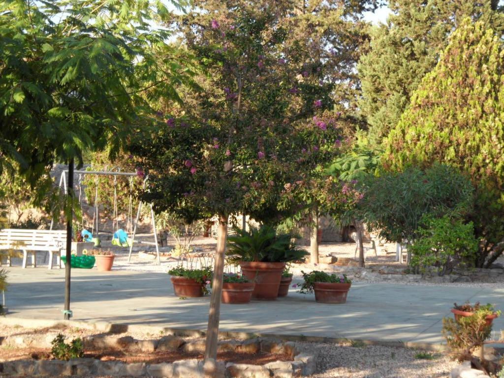Azienda Agrituristica Masseria Campi San Vito dei Normanni Luaran gambar