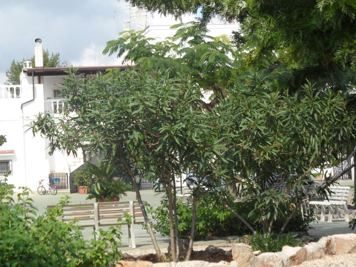 Azienda Agrituristica Masseria Campi San Vito dei Normanni Luaran gambar